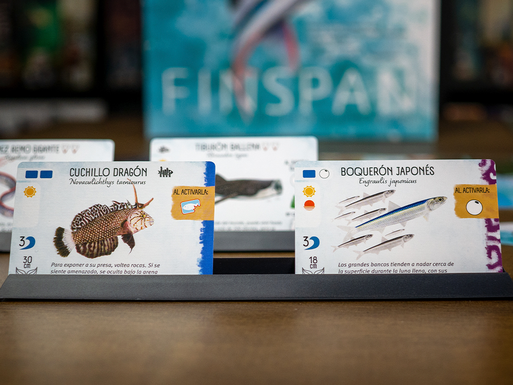 Finspan1