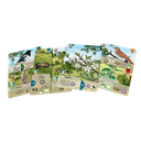 Forest Shuffle: Exploración2