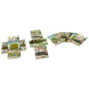 Forest Shuffle Dartmoor2