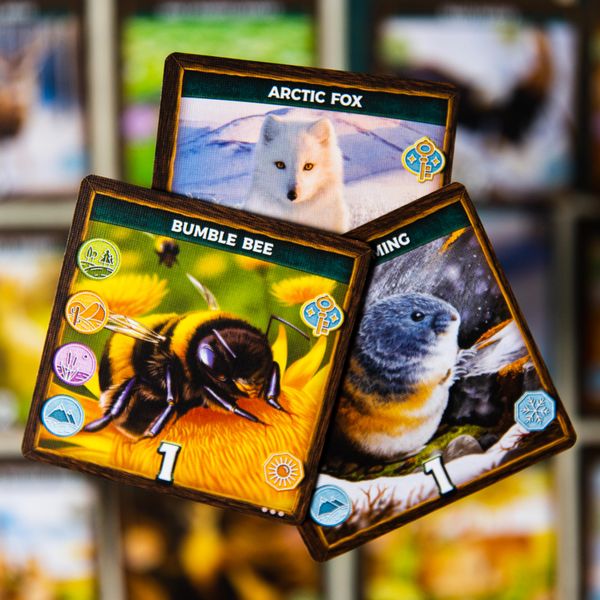 Keystone Norteamérica4