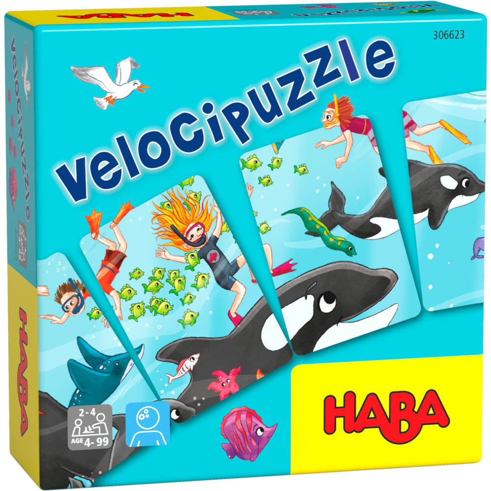 Velocipuzzle1