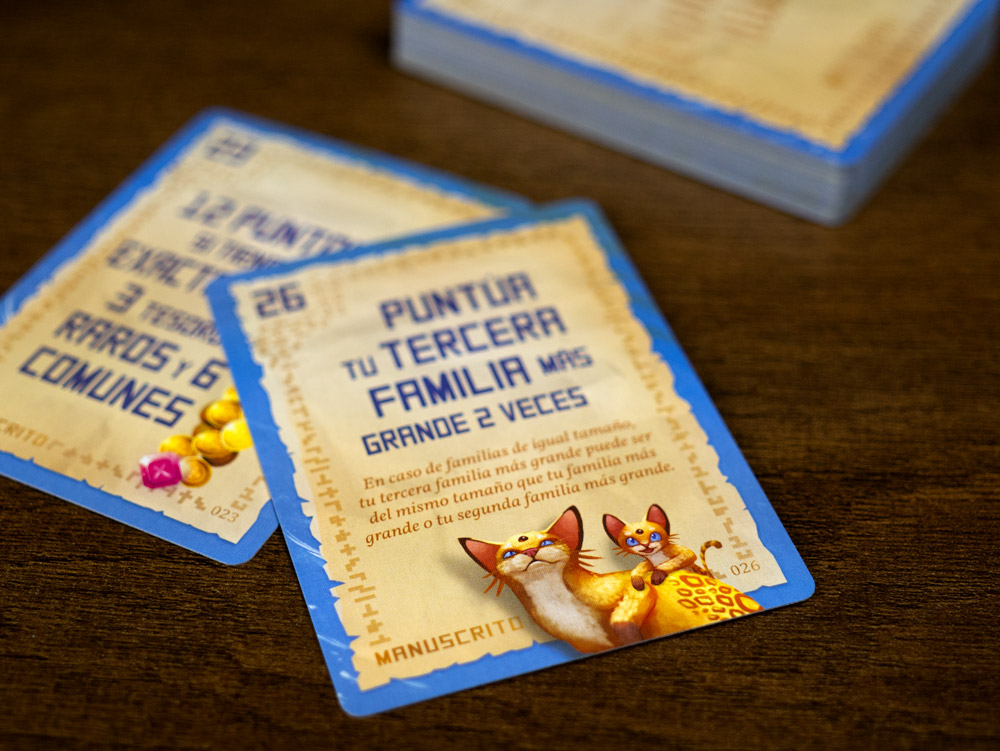 La Isla de los Gatos: Explora y Dibuja7