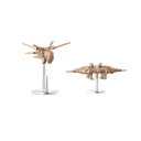 Dune: La Guerra de Arrakis2