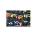 Phoenix New Horizon1