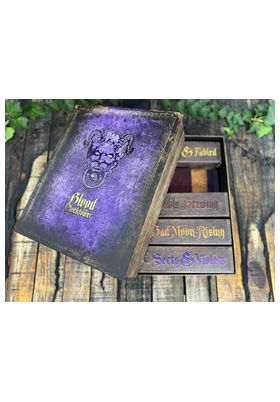 Blood on the Clocktower2