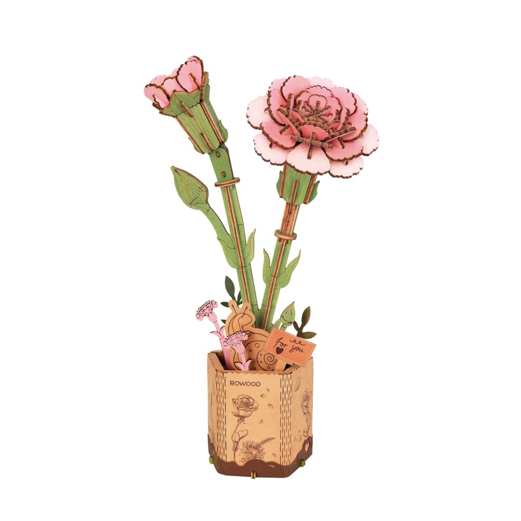 Clavel Rosa